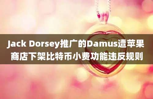 Jack Dorsey推广的Damus遭苹果商店下架比特币小费功能违反规则