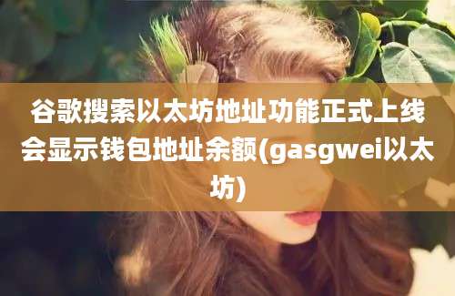 谷歌搜索以太坊地址功能正式上线会显示钱包地址余额(gasgwei以太坊)