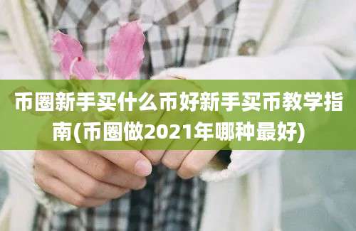 币圈新手买什么币好新手买币教学指南(币圈做2021年哪种最好)