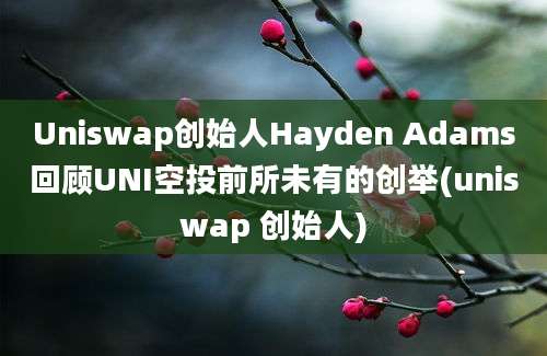 Uniswap创始人Hayden Adams回顾UNI空投前所未有的创举(uniswap 创始人)