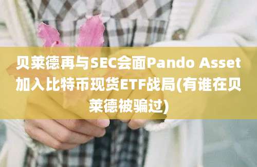 贝莱德再与SEC会面Pando Asset加入比特币现货ETF战局(有谁在贝莱德被骗过)