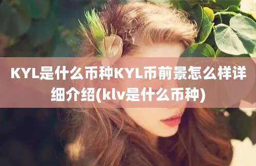 KYL是什么币种KYL币前景怎么样详细介绍(klv是什么币种)