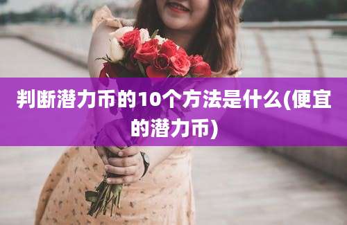 判断潜力币的10个方法是什么(便宜的潜力币)