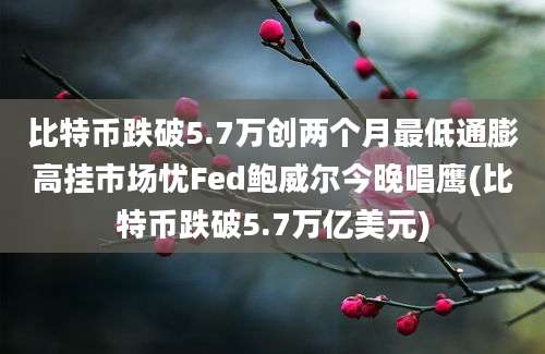 比特币跌破5.7万创两个月最低通膨高挂市场忧Fed鲍威尔今晚唱鹰(比特币跌破5.7万亿美元)