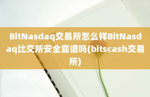 BitNasdaq交易所怎么样BitNasdaq比交所安全靠谱吗(bitscash交易所)