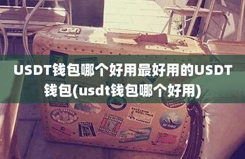 USDT钱包哪个好用最好用的USDT钱包(usdt钱包哪个好用)