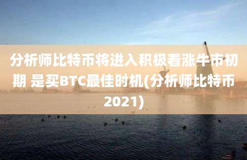 分析师比特币将进入积极看涨牛市初期 是买BTC最佳时机(分析师比特币2021)