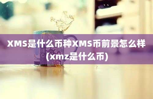 XMS是什么币种XMS币前景怎么样(xmz是什么币)