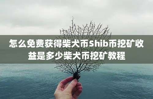 怎么免费获得柴犬币Shib币挖矿收益是多少柴犬币挖矿教程