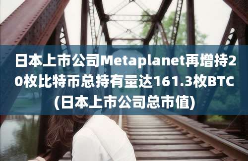 日本上市公司Metaplanet再增持20枚比特币总持有量达161.3枚BTC(日本上市公司总市值)