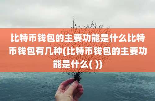 比特币钱包的主要功能是什么比特币钱包有几种(比特币钱包的主要功能是什么( ))