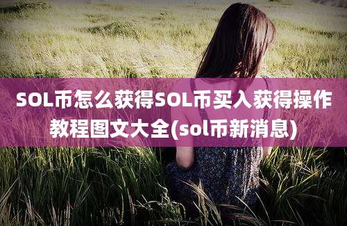 SOL币怎么获得SOL币买入获得操作教程图文大全(sol币新消息)