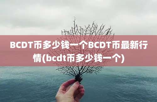 BCDT币多少钱一个BCDT币最新行情(bcdt币多少钱一个)