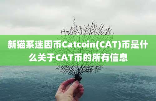 新猫系迷因币Catcoin(CAT)币是什么关于CAT币的所有信息