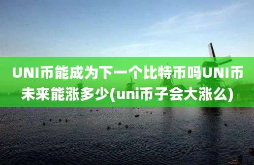 UNI币能成为下一个比特币吗UNI币未来能涨多少(uni币子会大涨么)