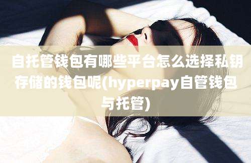 自托管钱包有哪些平台怎么选择私钥存储的钱包呢(hyperpay自管钱包与托管)