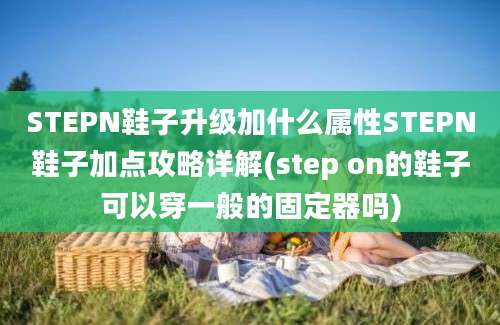 STEPN鞋子升级加什么属性STEPN鞋子加点攻略详解(step on的鞋子可以穿一般的固定器吗)