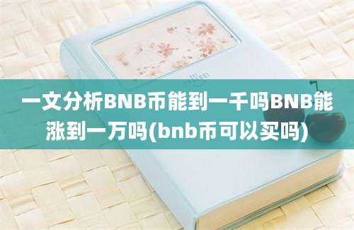 一文分析BNB币能到一千吗BNB能涨到一万吗(bnb币可以买吗)