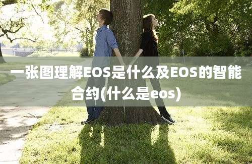 一张图理解EOS是什么及EOS的智能合约(什么是eos)