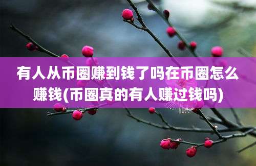 有人从币圈赚到钱了吗在币圈怎么赚钱(币圈真的有人赚过钱吗)