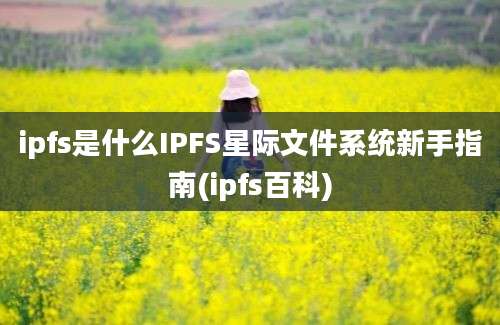 ipfs是什么IPFS星际文件系统新手指南(ipfs百科)