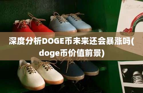 深度分析DOGE币未来还会暴涨吗(doge币价值前景)