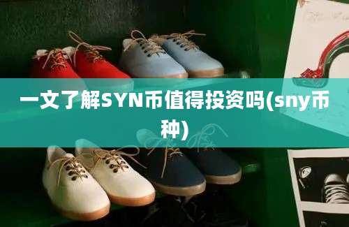 一文了解SYN币值得投资吗(sny币种)