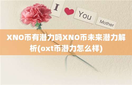 XNO币有潜力吗XNO币未来潜力解析(oxt币潜力怎么样)