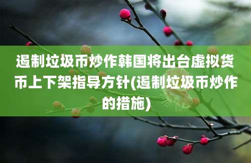 遏制垃圾币炒作韩国将出台虚拟货币上下架指导方针(遏制垃圾币炒作的措施)