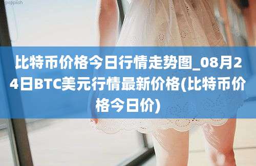 比特币价格今日行情走势图_08月24日BTC美元行情最新价格(比特币价格今日价)