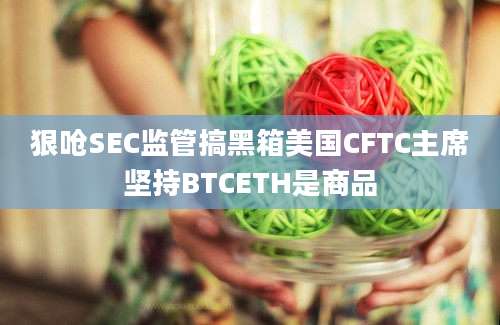 狠呛SEC监管搞黑箱美国CFTC主席坚持BTCETH是商品