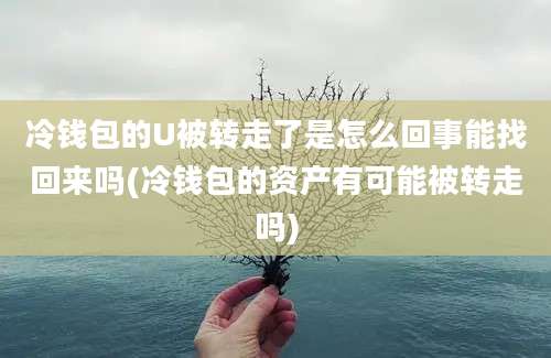 冷钱包的U被转走了是怎么回事能找回来吗(冷钱包的资产有可能被转走吗)