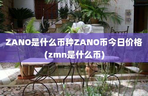 ZANO是什么币种ZANO币今日价格(zmn是什么币)