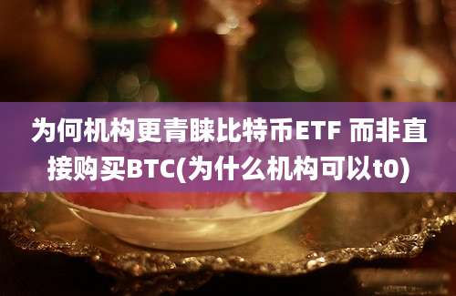 为何机构更青睐比特币ETF 而非直接购买BTC(为什么机构可以t0)