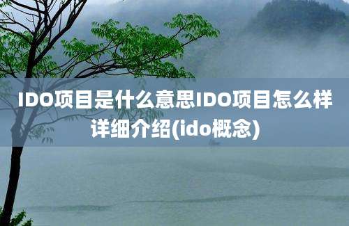 IDO项目是什么意思IDO项目怎么样详细介绍(ido概念)