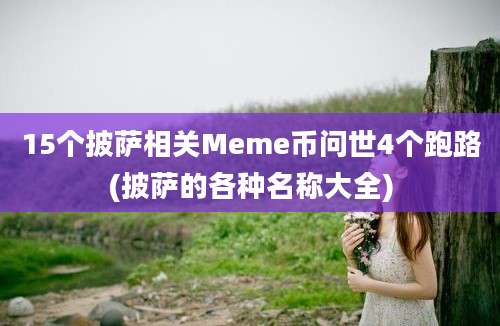 15个披萨相关Meme币问世4个跑路(披萨的各种名称大全)