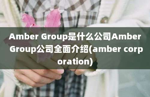 Amber Group是什么公司Amber Group公司全面介绍(amber corporation)