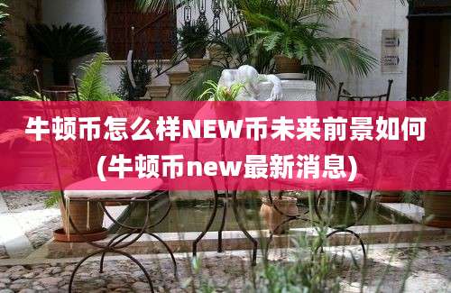 牛顿币怎么样NEW币未来前景如何(牛顿币new最新消息)