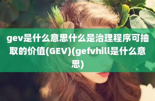 gev是什么意思什么是治理程序可抽取的价值(GEV)(gefvhill是什么意思)