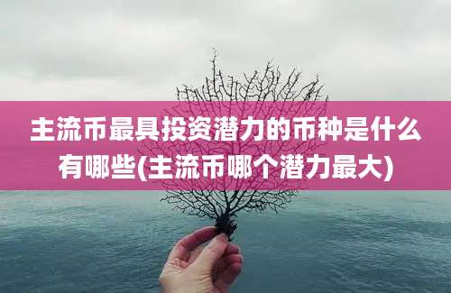 主流币最具投资潜力的币种是什么有哪些(主流币哪个潜力最大)