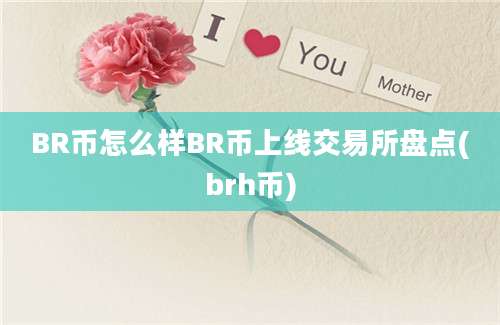 BR币怎么样BR币上线交易所盘点(brh币)