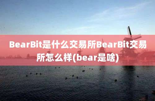 BearBit是什么交易所BearBit交易所怎么样(bear是啥)