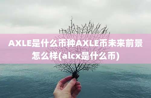 AXLE是什么币种AXLE币未来前景怎么样(alcx是什么币)