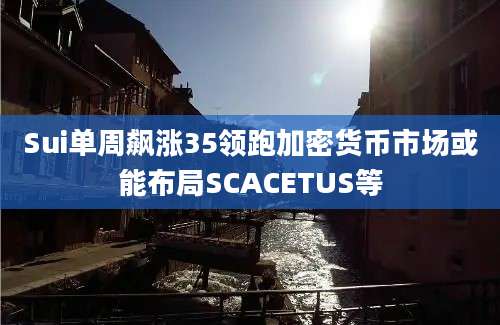 Sui单周飙涨35领跑加密货币市场或能布局SCACETUS等