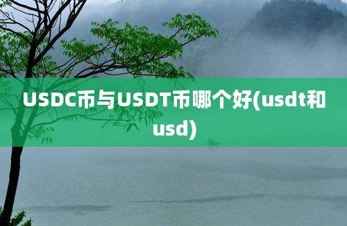 USDC币与USDT币哪个好(usdt和usd)