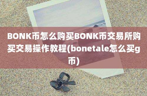 BONK币怎么购买BONK币交易所购买交易操作教程(bonetale怎么买g币)