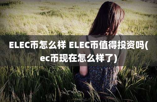 ELEC币怎么样 ELEC币值得投资吗(ec币现在怎么样了)