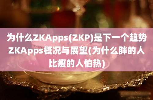 为什么ZKApps(ZKP)是下一个趋势ZKApps概况与展望(为什么胖的人比瘦的人怕热)