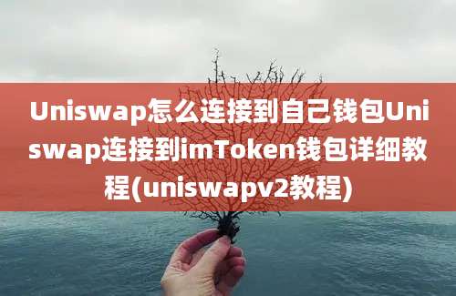 Uniswap怎么连接到自己钱包Uniswap连接到imToken钱包详细教程(uniswapv2教程)