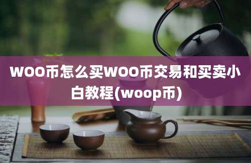 WOO币怎么买WOO币交易和买卖小白教程(woop币)